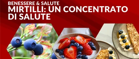 Il mirtillo e i piccoli frutti: un concentrato di salute tra natura e innovazione-image