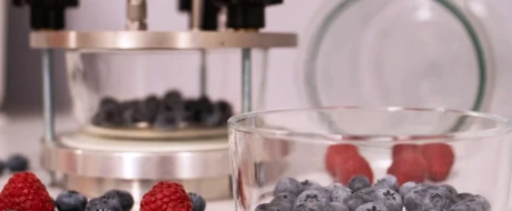 FEM: blueberry focus to rediscover diversity and cultivate the future