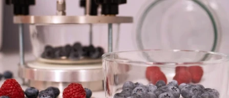 FEM: blueberry focus to rediscover diversity and cultivate the future-image