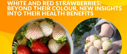 White and red strawberries: beyond their colour, new insights into their health benefits-image