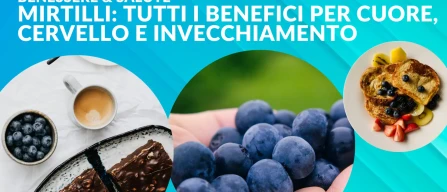 Mirtillo e salute: tutti i benefici per cuore, cervello e invecchiamento provati dalla ricerca-image