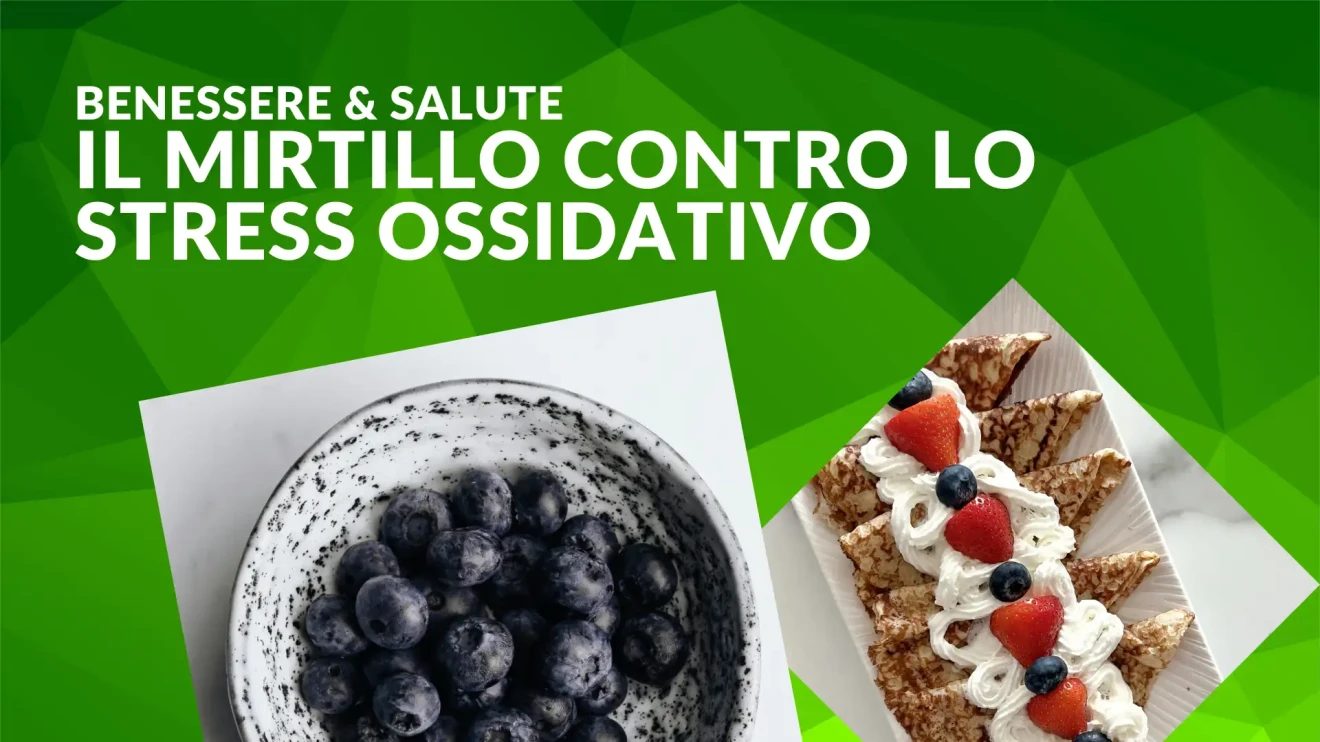 Mirtillo e stress ossidativo: nuove evidenze sul ruolo immunitario-image