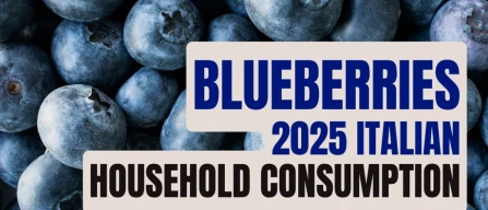 Italy: blueberries per-capita consumption up 28% in 2025-image