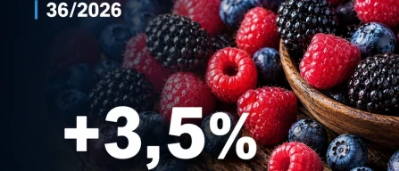 Piccoli frutti in Italia: prezzi in aumento nella GDO, mirtilli a +3,5% nella settimana 36/2026-image