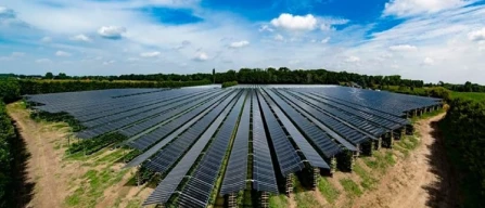 Dutch raspberry farm hosts largest European fruitvoltaic plant-image