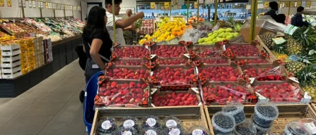 Piccoli frutti a Firenze: Spagna e Marocco dominano i grandi formati-image