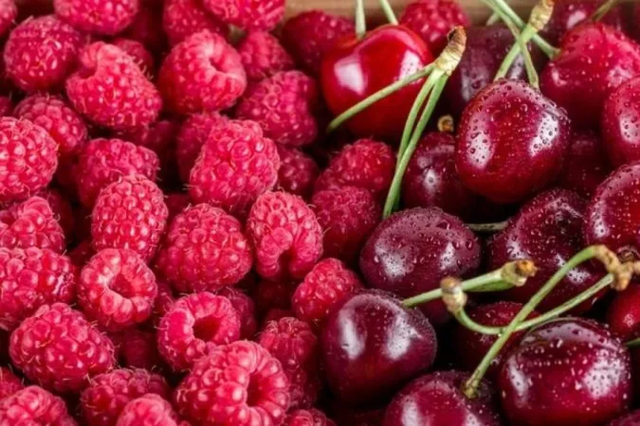 Peru: cherries and raspberries challenge blueberries-image