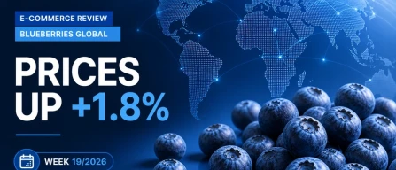 Global blueberries: price index rises by 1.8% as organic drives gains in week 19/2026 report-image