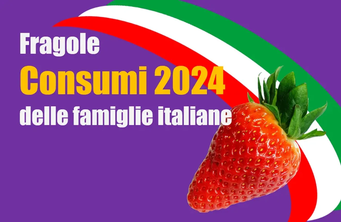 Fragole: l'aumento dei prezzi (+8%) sostiene il mercato che in Italia vale € 389 milioni-image