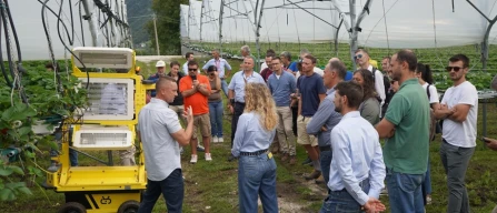 Bioconfarm: Sant'Orsola sole partner for berries of the European sustainability project-image