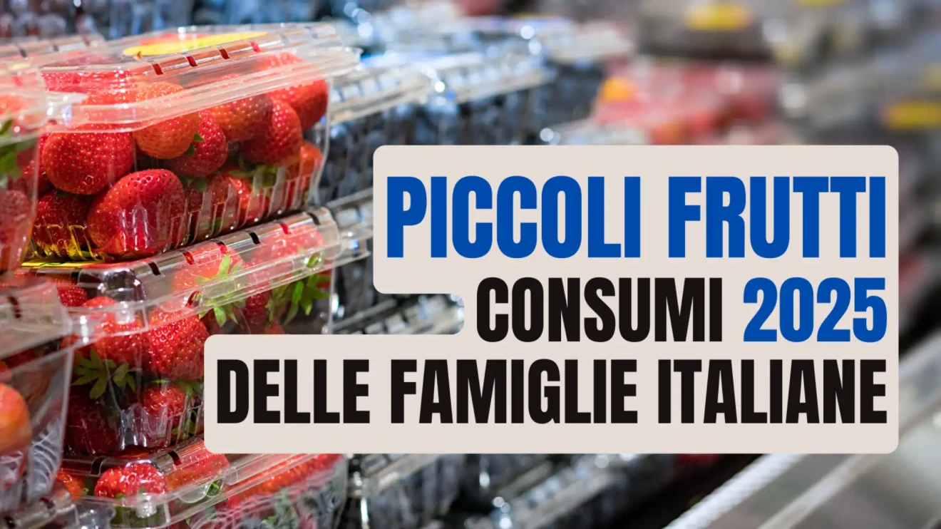 Piccoli frutti in forte crescita nel 2025: spesa +35% e volumi +41% secondo YouGov – Italian Berry-image