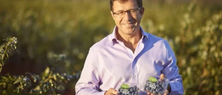 Australia suspends dimethoate use on berries amid food safety concerns and rising consumption-image