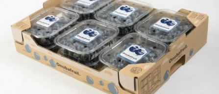 Onubafruit registra 8 nuove varietà di mirtilli con protezione UE-image