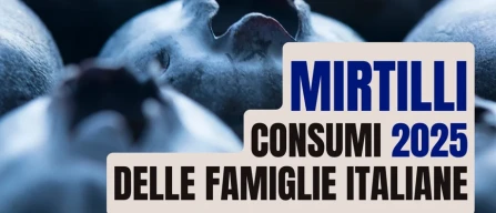 Mirtilli: boom nei consumi che nel 2025 aumentano del 50%-image