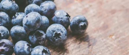 Global blueberry prices up 5.3% in week 19/2024 in standard segment-image