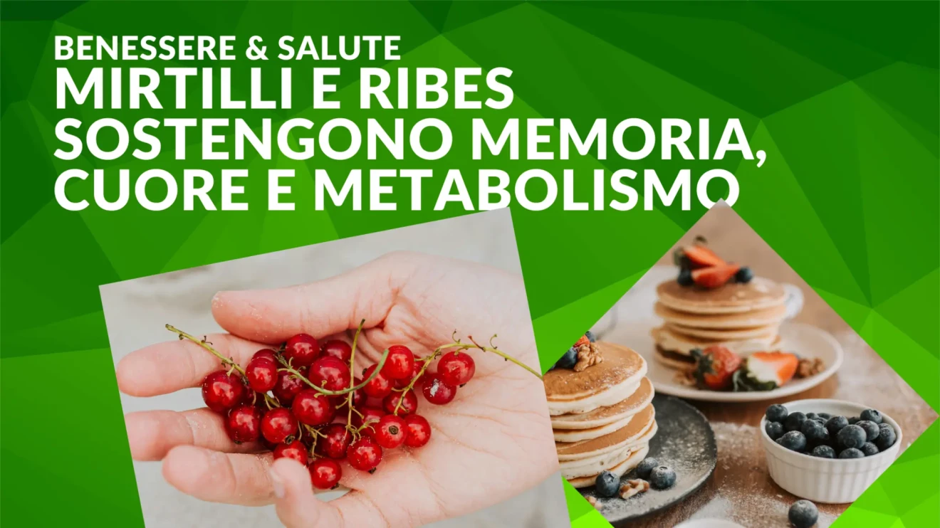 Frutti di bosco e salute: mirtilli e ribes sostengono memoria, cuore e metabolismo-image