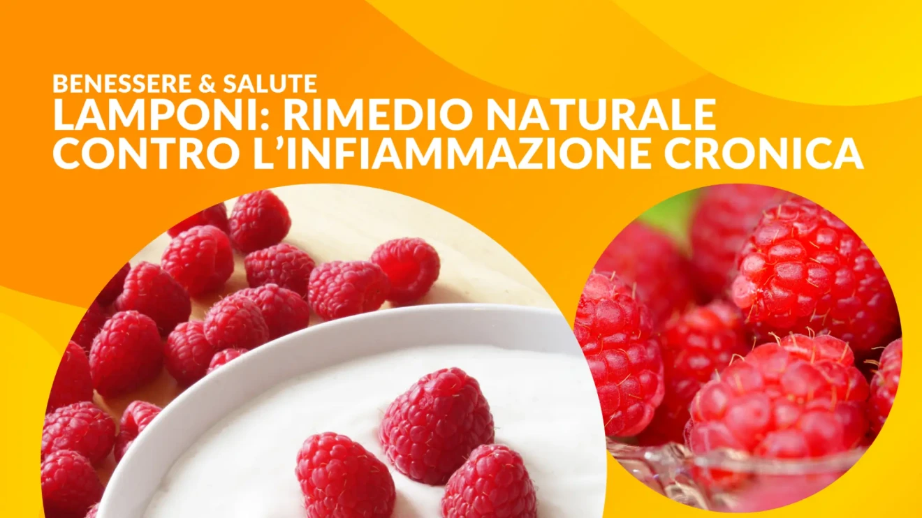 Lamponi e intestino: il rimedio naturale contro infiammazione cronica e stress ossidativo-image
