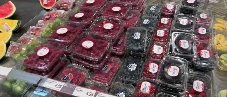 Verona: il mirtillo domina l’assortimento di piccoli frutti nella GDO-image