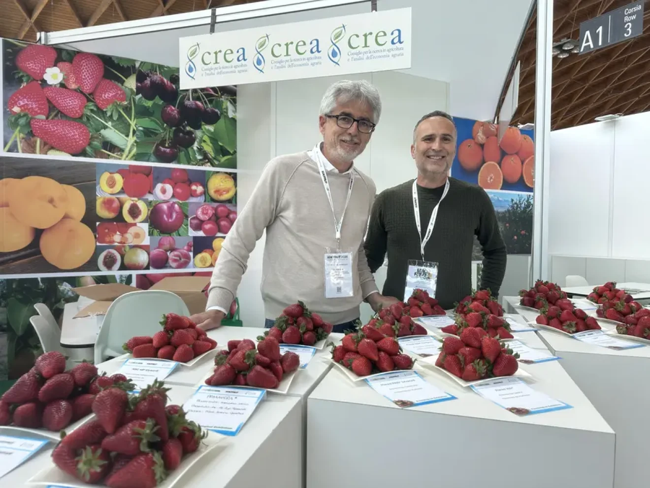 The strawberry variety showcase curated by CREA at the Berry Area-image