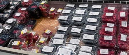 Padova (Italy) retail prices: blueberries from €7.98/kg-image