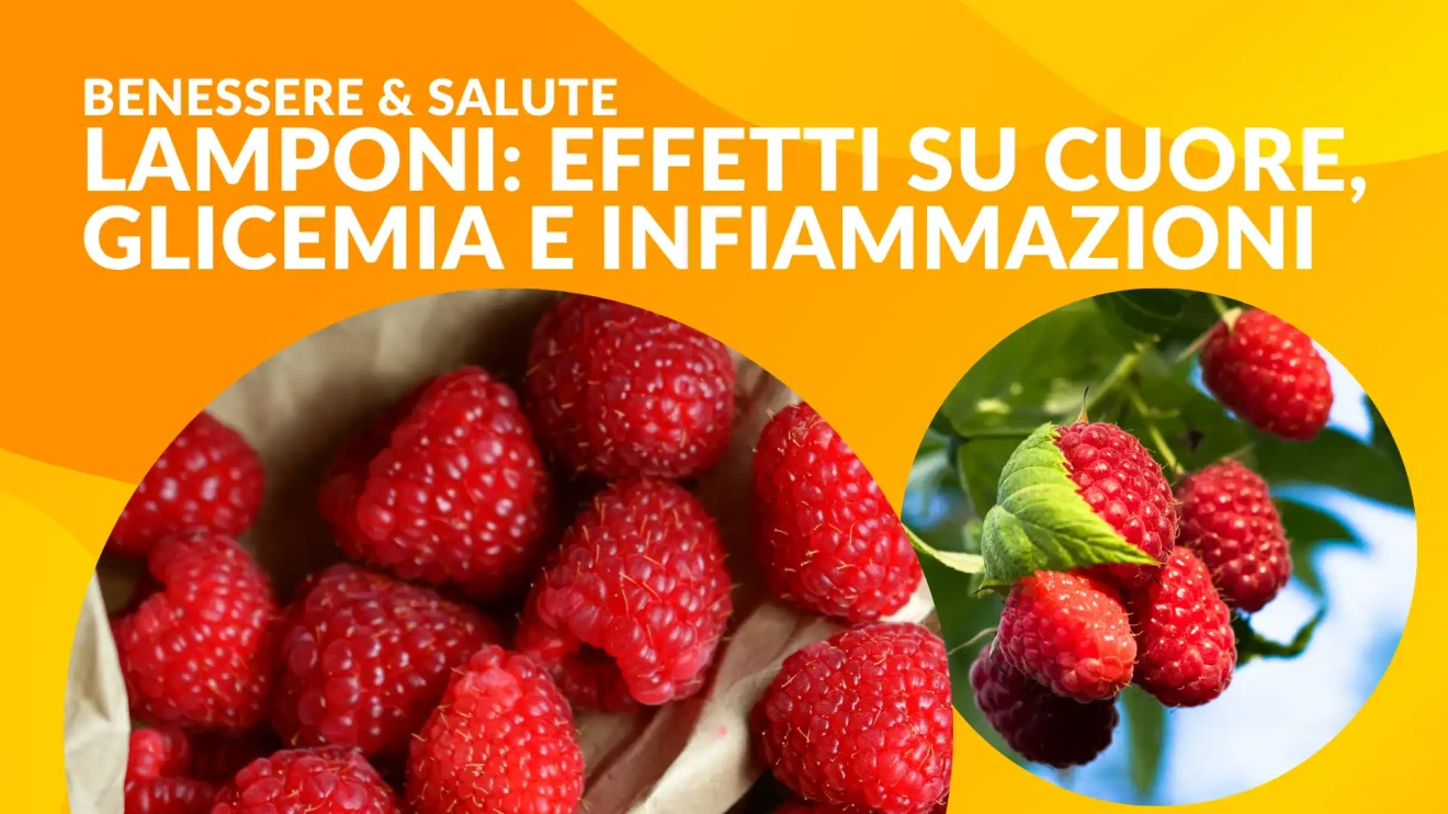 Lamponi: effetti su cuore, glicemia e infiammazioni-image
