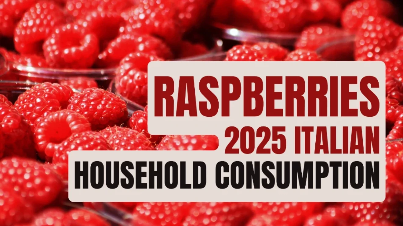 Italy’s raspberry market in 2025: more buyers, recovering volumes and record value-image