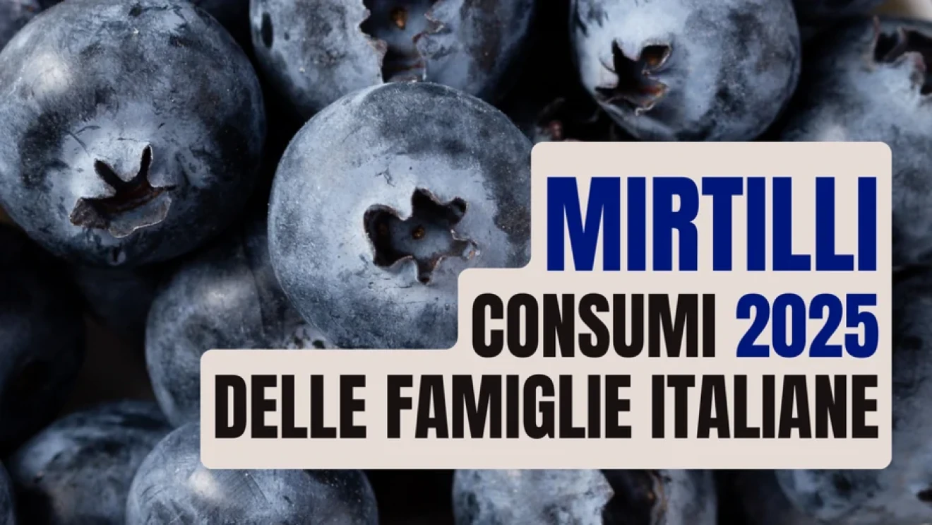 Mirtilli in Italia 2025: consumi più uniformi tra Nord e Sud, cresce la diffusione in tutti i segmenti-image
