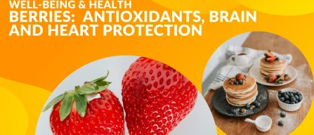 Health benefits of berries: antioxidants, brain and heart protection, metabolism and gut health-image