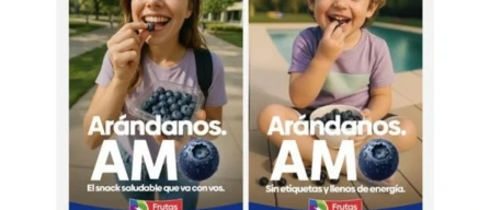 Chile: blueberry exports up 20%, focus on Argentina and Brazil with new promotions-image