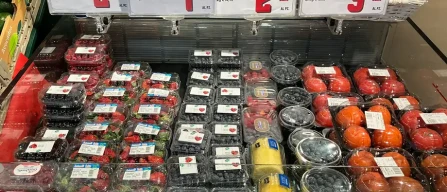 Aldi and Lidl most convenient blueberry price among 19 shops in Trento (Italy)-image