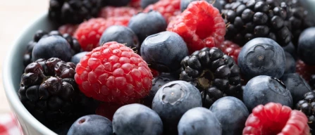 The berry industry keeps growing in Mexico-image