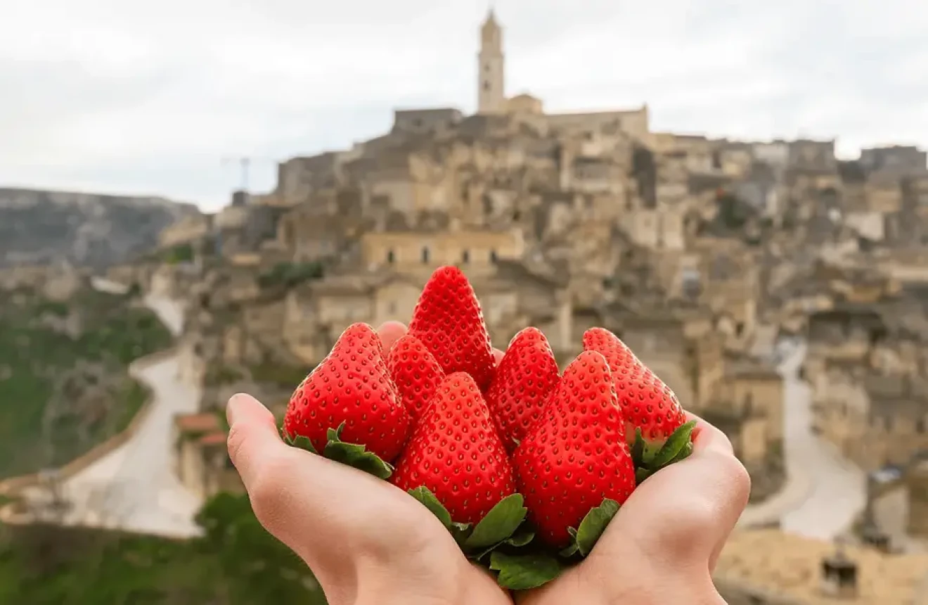 From product to lifestyle: unlocking the potential of berries in Italy-image