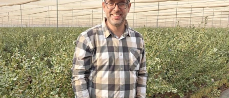 The future of the Italian blueberry: survival or revival? Global challenges at Macfrut 2026-image