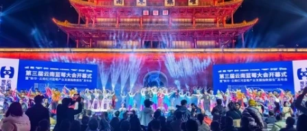 Mirtilli in Cina: Honghe e Yunnan guidano la crescita di un mercato globale da 32 miliardi-image