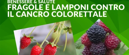 Strawberries and black raspberries against colorectal cancer: functional nutrition insights from the United States-image