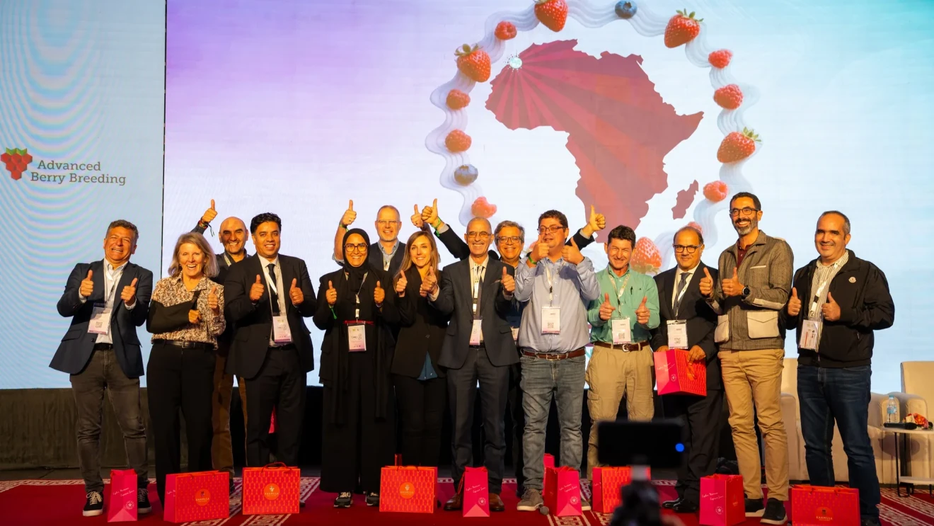 Morocco Berry Conference 2025: the presentations-image