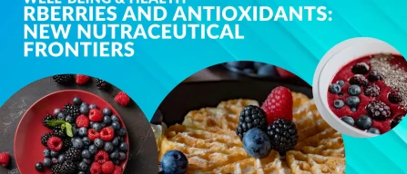 Berries and antioxidants: new nutraceutical frontiers-image