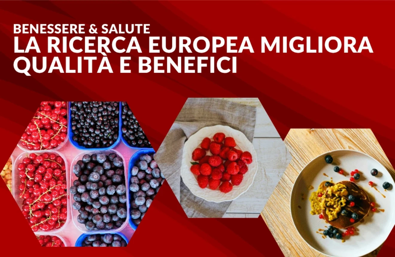 Frutti di bosco, salute e sostenibilità: la ricerca europea migliora qualità e benefici-image