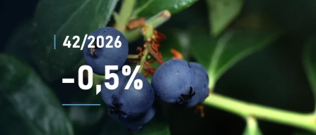 Global blueberry prices fall 0.5% in week 42 of 2026 as premium rises and organic prices decline-image