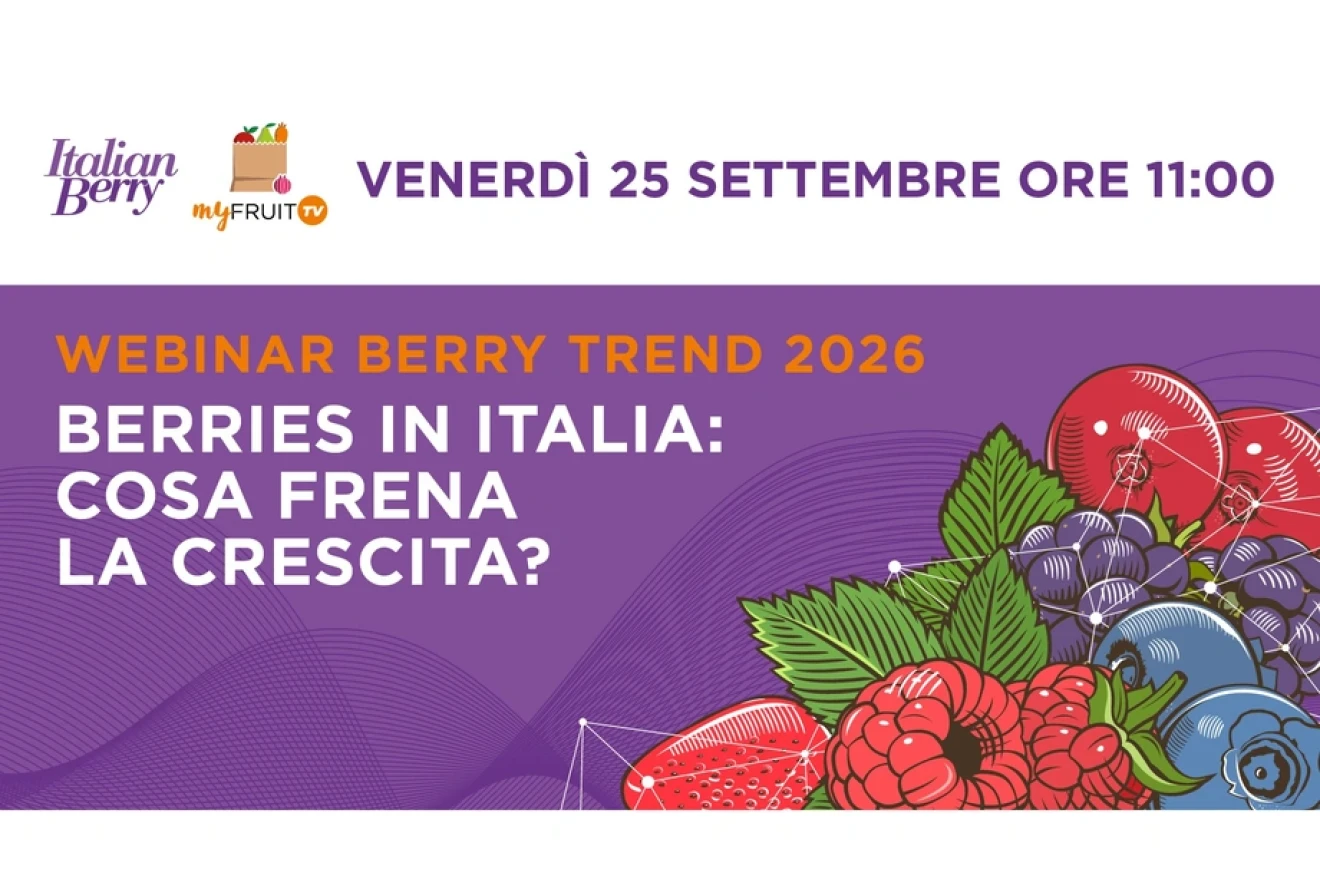 Berry Trend 2026: three questions about growth in Italy’s berry market-image