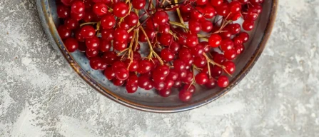 Italy berry prices jump: red currants +6.7% in GDO e-commerce week 10/2026-image