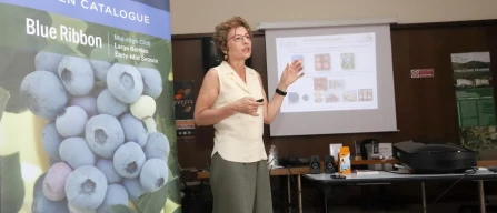 Mirtillo oltre il fresco: CREA testa essiccamento e snack in Valtellina-image