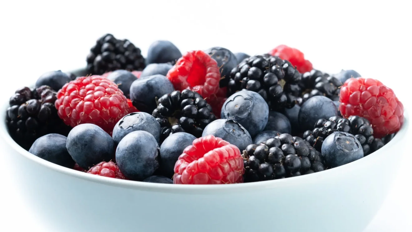 Il Marocco ha creato il modello, ora l'Egitto lo sta replicando-image