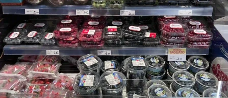 Berries in Brescia (Italy): strong retail presence, broad range and high prices in retail stores-image