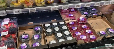 Osservatorio Piccoli Frutti GDO Bologna: mirtilli dal Cile, scaffali più pieni e prezzi stabili-image