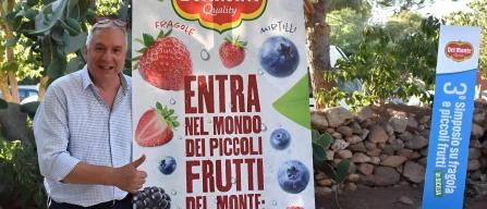 Del Monte in Sicily to guarantee fixed prices to berry growers-image