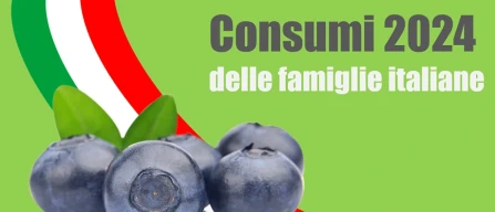 Mirtilli, 900 mila nuove famiglie italiane nel 2024 e consumi oltre 12 mila tonnellate-image