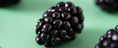 Berries’ rising stars? How quality can bring blackberries back 