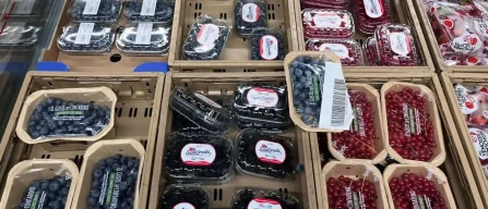 Trento, GDO piccoli frutti: l’Italia non basta-image