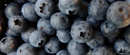 Blueberry prices in Poland: the threshold is 20 PLN/kg, equivalent to 4.65 €/kg-image